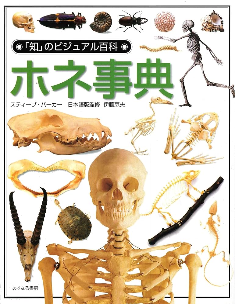 青少年のための大規模な図解百科事典 青少年のための大規模な図解百科事典 青少年のための大規模